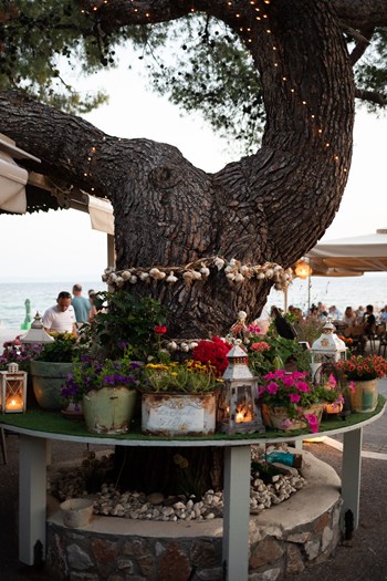 Το εστιατόριό μας / Our Restaurant