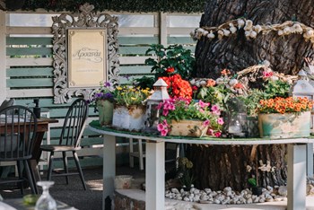 Το εστιατόριό μας / Our Restaurant